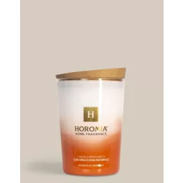 Horomia Arancio e cannella illatgyertya