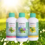 Horomia I'M GREEN Talco e Magnolia - Prémium olasz mosóparfüm 400 ml